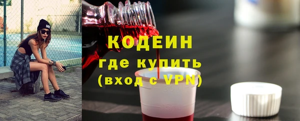 гашик Алексин