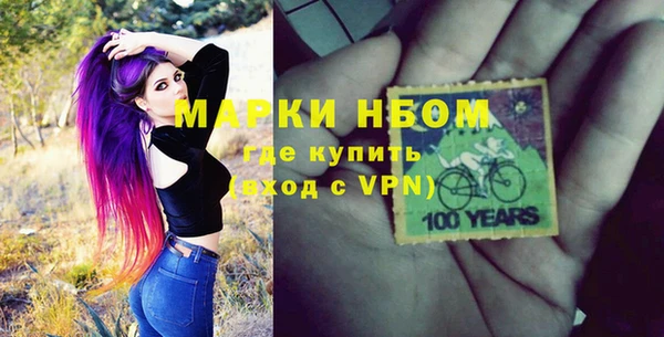 гашик Алексин