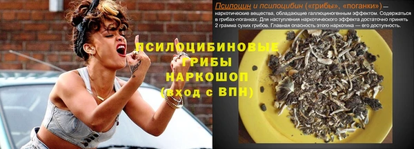 гашик Алексин