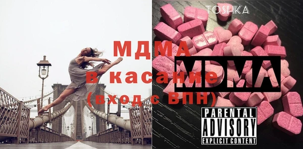 гашик Алексин
