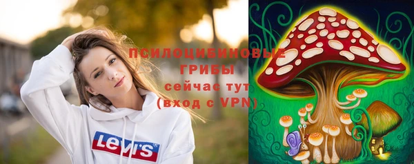 таблы Алзамай