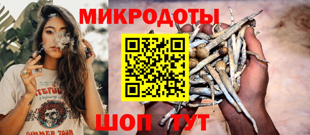 Кимры  Галлюциногенные грибы GOLDEN TEACHER  Вход с VPN 